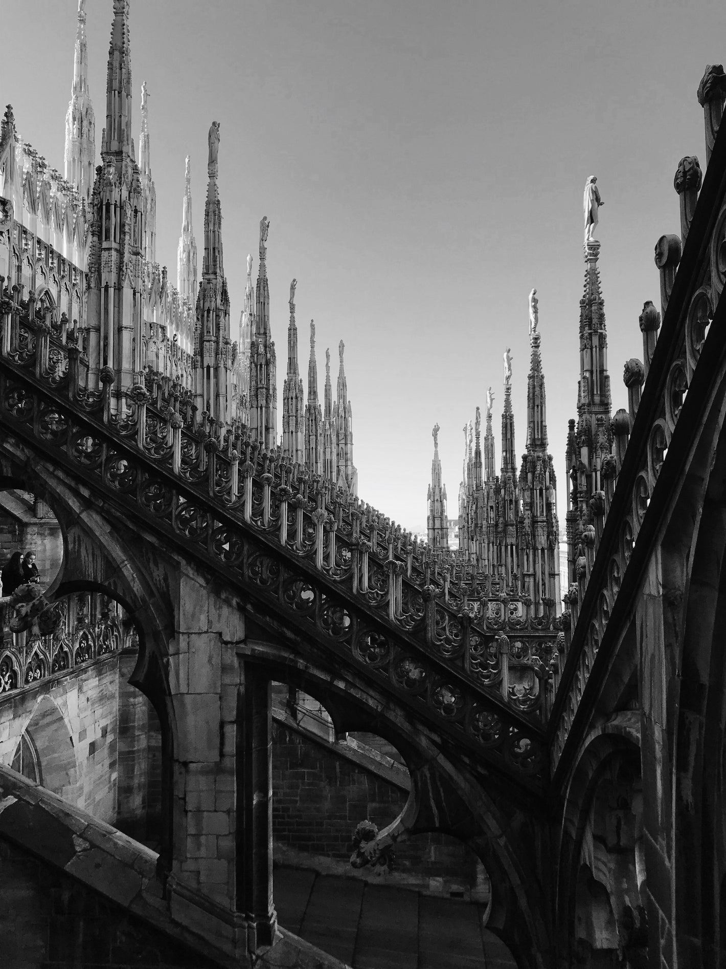 dettaglio guglie Milano